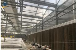 China High Yield Farming Polycarbonate Greenhouse Fruit And Vegetable Greenhouse supplier