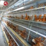 2024 Galvanized A-Type Laying Hens H-Type Battery Cage And Automatic Breeding System for sale