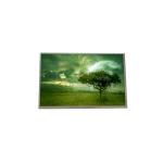 10.1 Inch TFT LCD B101EW05 V4 Laptop Screen Replacement 1280*800 for sale