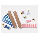 Delicate Design Pantone Color Swatches Colors Arranged In Chromatic Format for sale