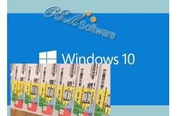 China Flash Drive Win 10 Pro PC Product Key , Oem Pack Windows 10 Pro Coa Sticker supplier
