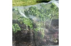 China PVC 50 Mesh Fine Garden Netting For Garden Cover 30m-100m/roll supplier