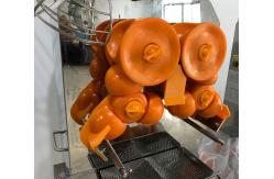 China Commercial Juice Extractor Machine Auto Feed Orange Squeezer Compact Design supplier