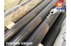 China FAST HEAT DISSIPATION HIGH FREQUENCY WELDED FIN TUBE CS PIPE AND FIN supplier