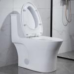 China Public Bathrooms Toilets Iapmo Ada American Standard Elongated Toilet One Piece Water Closet manufacturer