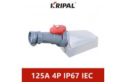 China 125A 380V IP67 Industrial Wall Mounted Socket With Plug IEC standard supplier