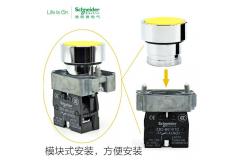 China XB2B Push Button Switch Industrial Electrical Controls Illuminated Flush Head 24v 230v 1NO1NC supplier