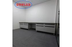 China Chemical Resistant  Chemistry Lab Workbench Wood Lab Casework With Multiple Cabinets supplier