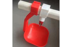 China Automatic Nipples Water Drinking system poultry water drinking cups nipple drinker cup supplier