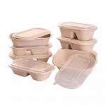 Disposable Compostable Take Away Food Containers Sugarcane Bagasse Tableware Box for sale