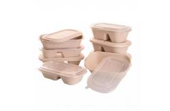 China Disposable Compostable Take Away Food Containers Sugarcane Bagasse Tableware Box supplier