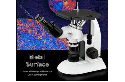 China Inverted Metallurgical Optical Microscope WF10x/18mm Eyepiece Quadruple Nosepiece supplier