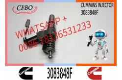 China Hot Sale Diesel Fuel Injector 3411759 3083848F For Cummins N14 Engine supplier