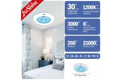 China 24 Inch Plastic Bedroom Ceiling Fan Light Fixtures With Remote Control supplier