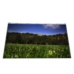 M215HCA-L5Z 21.5 inch LCD Panel 1920×1080 3-side Borderless display for sale