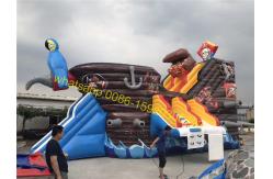 China pirate water slide for pool supplier