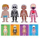 Cognitive Magnetic Educational Jigsaw Toys Jigsaw Human Anatomy Body Puzzles Toys for sale