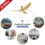 Modern Design 1stshine Ceiling Fan with ABS Plastic Blades and Remote Control Light