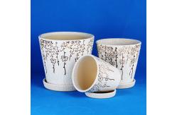 China Small Terracotta Planters Customized For Plant Collection supplier