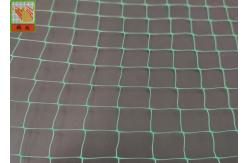 China Reinforcement Polypropylene Oriented Light 5.1m Erosion Netting supplier