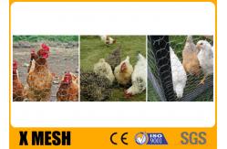 China 20 Ga rabbit chicken wire mesh Hexagonal Poultry Netting 3/4 acid proof supplier