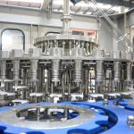 Rotary Monobloc Rinser Filler Capper Machine Juice Bottling Capping