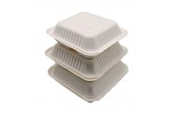 China 9x9inch Disposable Microwavable Clamshell Takeaway Boxes supplier