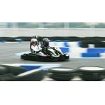 Indoor Outdoor Teamsport Go Karts 1050mm Wheel Base Double Motors for sale