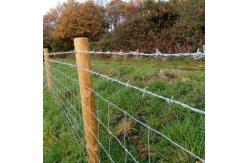 China Hot sell high quality 14x14 16x14 galvanized barbed wire supplier