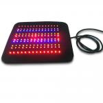 12V Light Therapy Machine Photodynamic Therapy Equipment Near Infrared NIR Flex Pain Relief System for sale