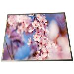 19.0 Inch 1280(LCR)×1024 SXGA 86PPI Medical LCD Panel R190EFE-L51 for sale