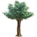 3m Height Artificial Landscape Trees Pittosporum Ficus Tree for office for sale