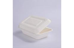 China Hotel Microwavable Sugarcane Bagasse Clamshell Disposable Take Away Bagasse Lunch Box supplier