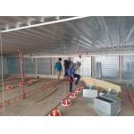 Farms Automatic Poultry Feeder System Pan Feeder Poultry 99 Times for sale