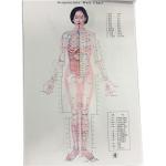 Individualized Traditional Chinese Medicine Safe Effective Treatment for sale