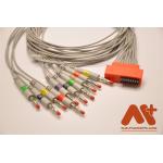 Cardioline Touch ECG-HD Holter Cable,IEC,Banana 4.0 for sale