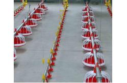 China Broiler Automatic Pan Feeding System 2.2KW Automatic Water System For Chickens supplier