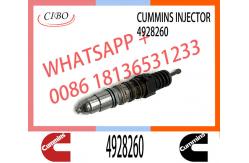 China Engine Parts ISX15 QSX15 Common Rail Fuel Injector 4928260 2874505 4903472 supplier