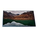 EV238FHM-N10 23.8 Inch LCD Panel Screen 1920*1080 FHD LCD Displays for sale