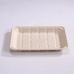Disposable Biodegradable Sugarcane Bagasse Tray Recycled Paper Food Tray for sale