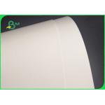 Single Double Wall 235gsm +15g PE Coated Paper For Coffee Cup Waterproof for sale