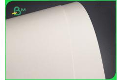 China Single Double Wall 235gsm +15g PE Coated Paper For Coffee Cup Waterproof supplier