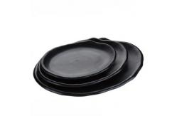 China Stylish Melamine Plates for Everyday - Resilient and Contemporary Design supplier