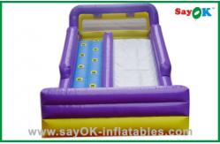 China Air Blown Inflatables PVC Inflatable Bouncer Slide for Maximum Fun supplier