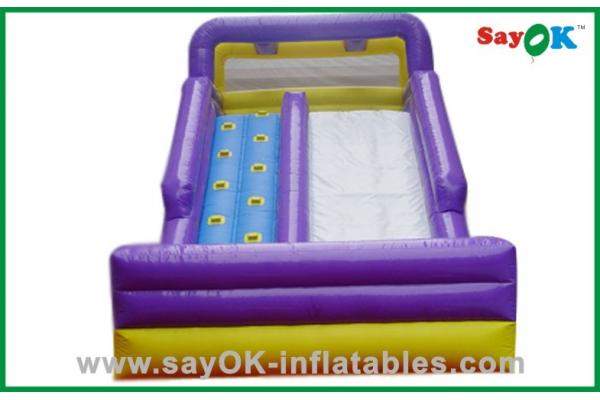 Air Blown Inflatables PVC Inflatable Bouncer Slide for Maximum Fun