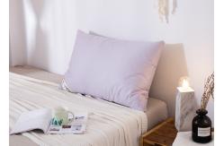 China 40S Plain Cloth 48x74cm Down Feather Pillows supplier