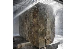 China Multi-Wire Saw Machine High-Precision Diamond Wire Cutting​​ supplier