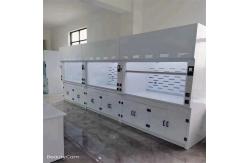 China Custom Research Lab Fume Hood With Scrubber Tank For School supplier
