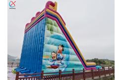 China Factory Inflatable Lilo & Stitch Slide Castle Inflatable Double Dry Slides supplier
