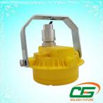 IP67 Outdoor WF2 LED 20 W Explosion Proof Light G4 AC 130V With 2000 Lumens for sale